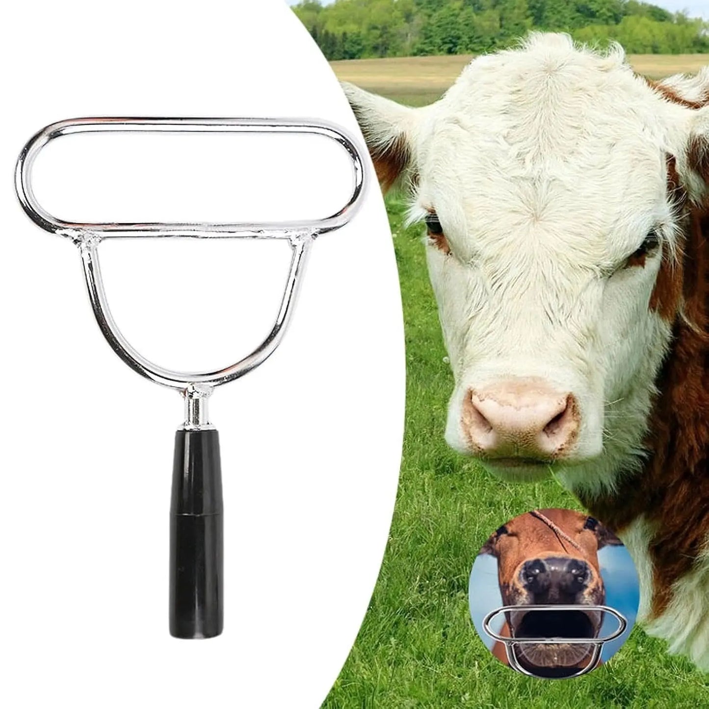 Heavy-Duty Stainless Steel Cow Mouth Opener | Veterinary Mouth Gag Tool for Cattle | Durable, Safe & Portable Livestock Restraint Equipment cjfarms.in