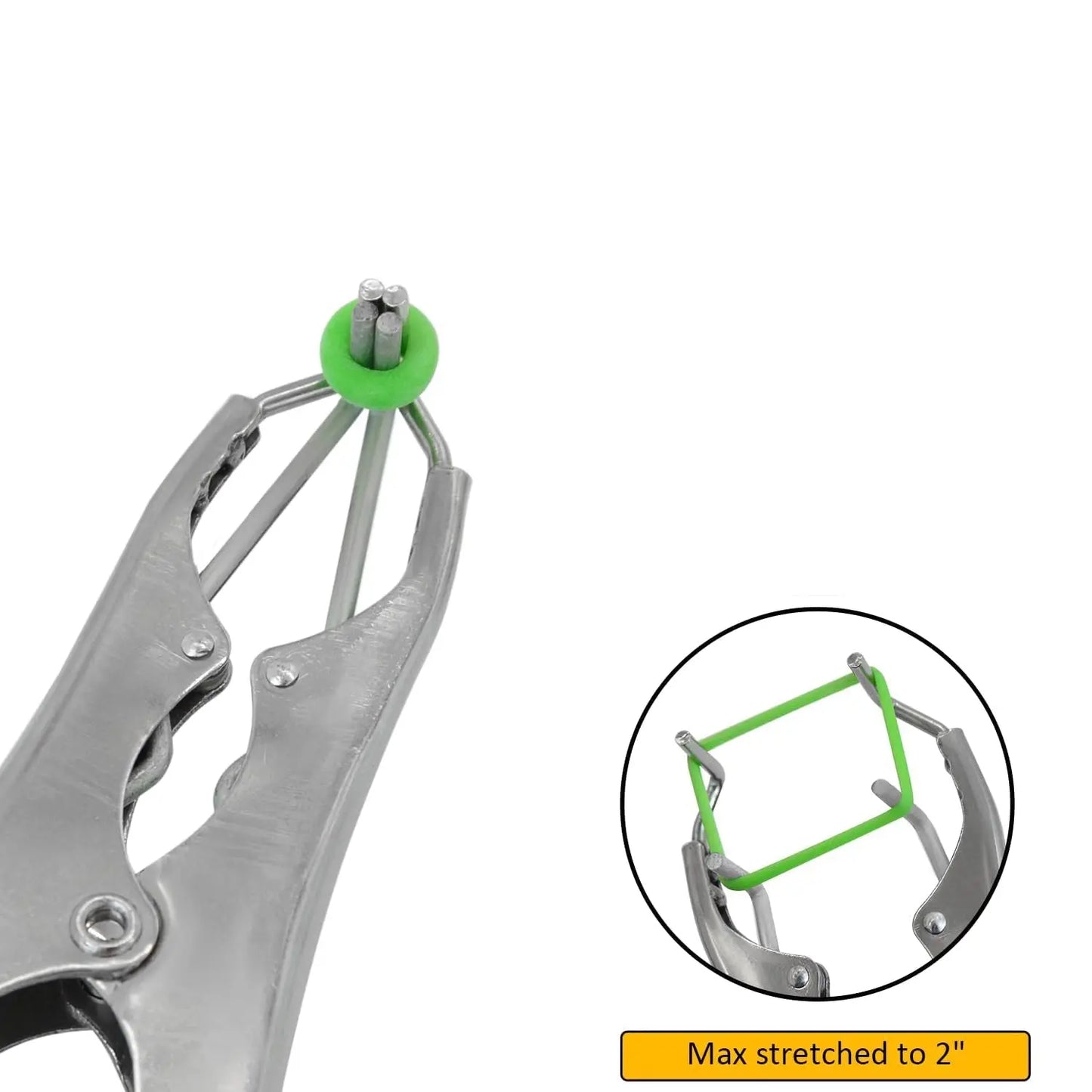 Castration Tool Kit with 100 Green Rubber Bands | Heavy-Duty Castrator Bander Plier for Goats, Lambs, Sheep & Puppies | Tail Docking & Farm Use cjfarms.in