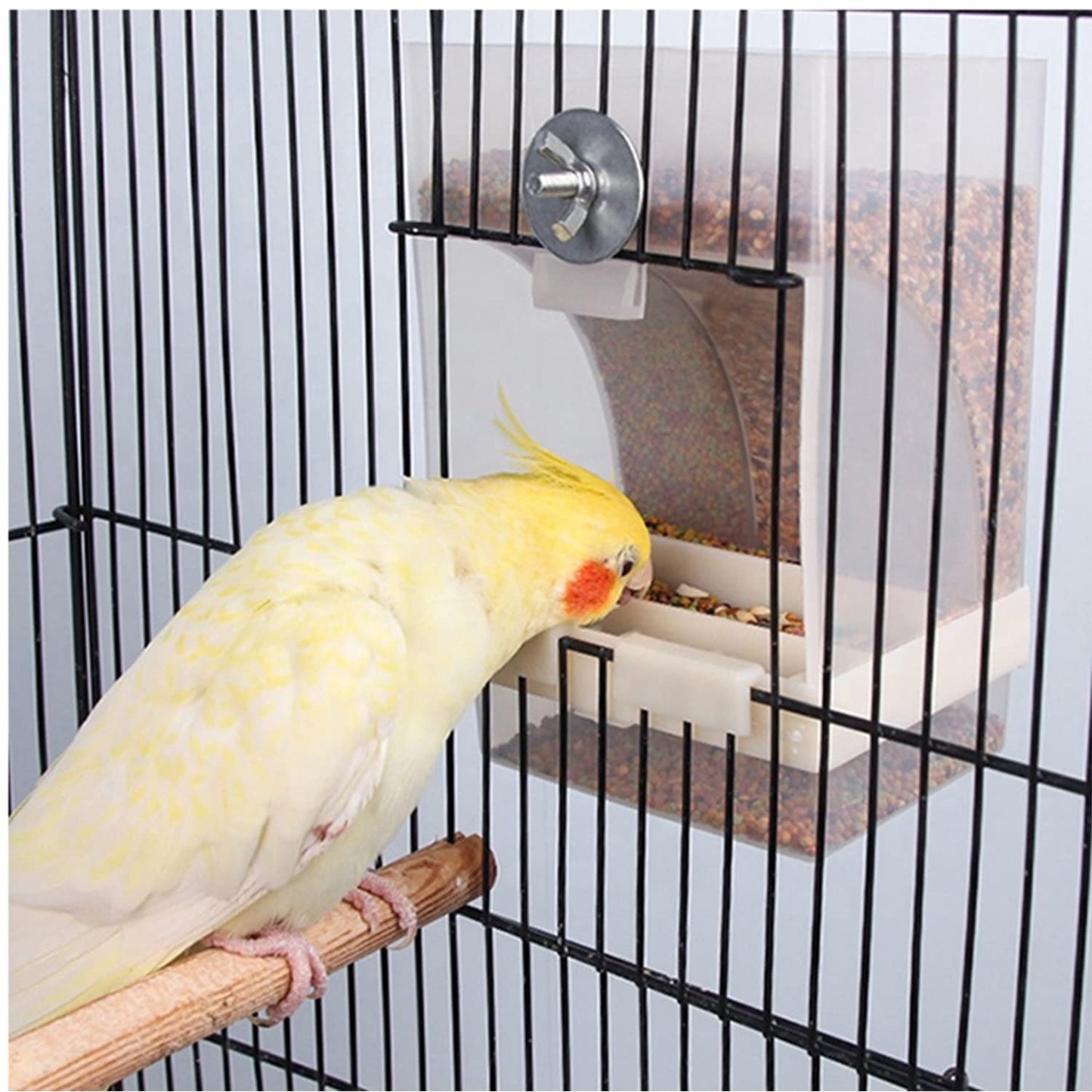 Automatic Bird Feeder 350g with Waste Tray | Anti-Spill Cage Mount Feeder for Budgies, Finches, Lovebirds & Cockatiels | Inside & Outside Bird Cage Food Dispenser CJ farms and Agritech