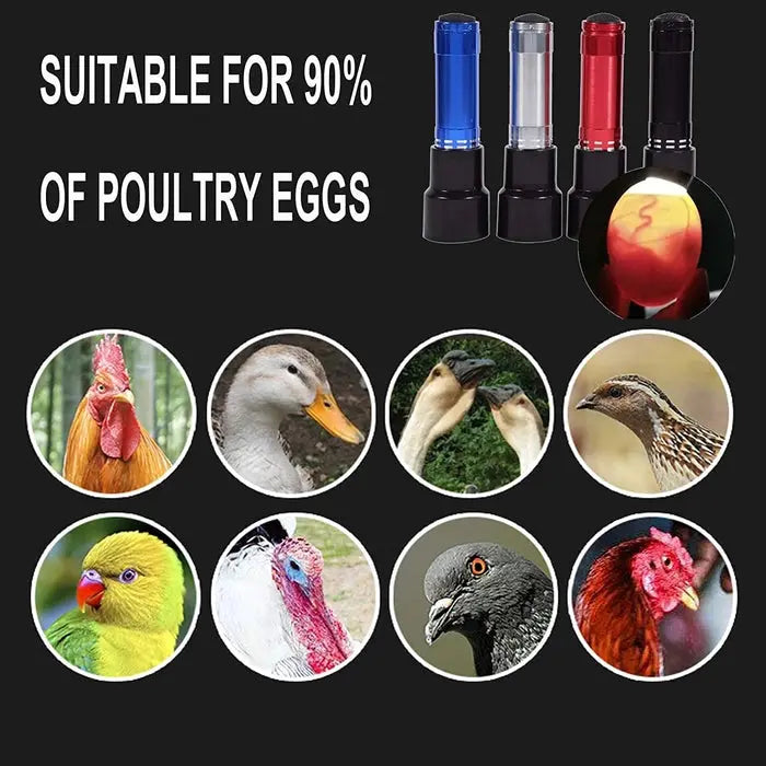 Light Egg Candler Tester | Bright Cool LED Candling Lamp | Egg Torch & Egg Tester for Poultry Hatching cjfarms.in
