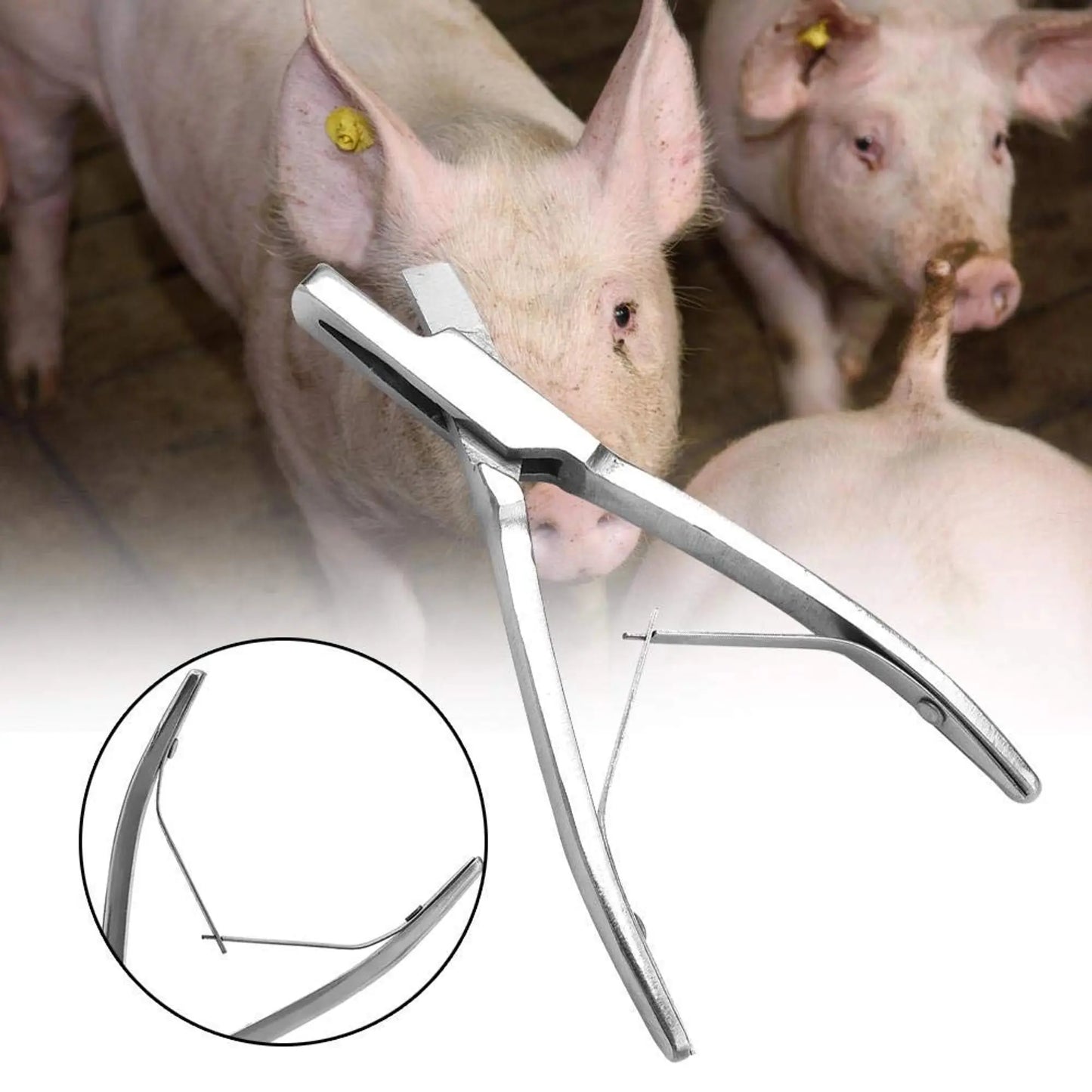 Pig Ear Notcher with V-Shaped Blade | Durable Livestock Ear Marking Tool for Pigs & Piglets | Safe & Easy Identification cjfarms.in