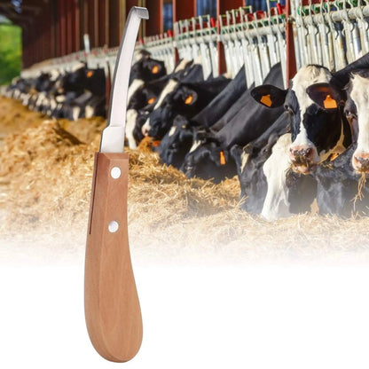 Hoof Trimming Knife for Cows, Horses & Goats | Sharp Stainless Steel Farrier Tool for Hoof Care & Grooming cjfarms.in