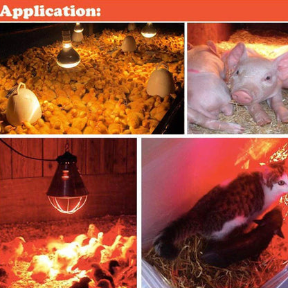 150W Infrared Heat Lamp for Chicks, Puppies, Piglets & Birds | Safe Brooding & Warming Lamp for Livestock and Pets