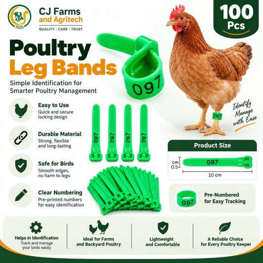 100 Pcs Poultry Leg Bands Green | Pre-Numbered Bird Identification Rings for Chicken, Pigeon & Duck | Easy Locking Leg Tags CJ farms and Agritech