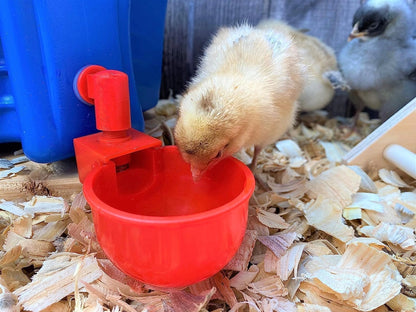 5 Pcs Automatic Chicken Feeder Cups | Auto-Refill Poultry Water Drinker | Automatic Water Bowl Cups for Chickens & Birds