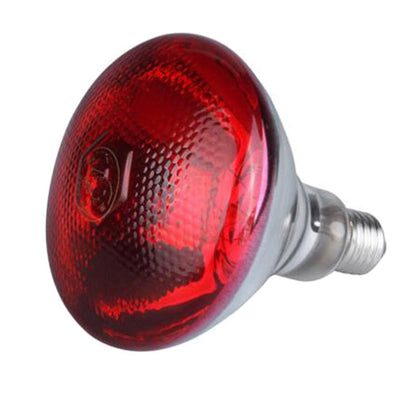 150W Infrared Heat Lamp for Chicks, Puppies, Piglets & Birds | Safe Brooding & Warming Lamp for Livestock and Pets