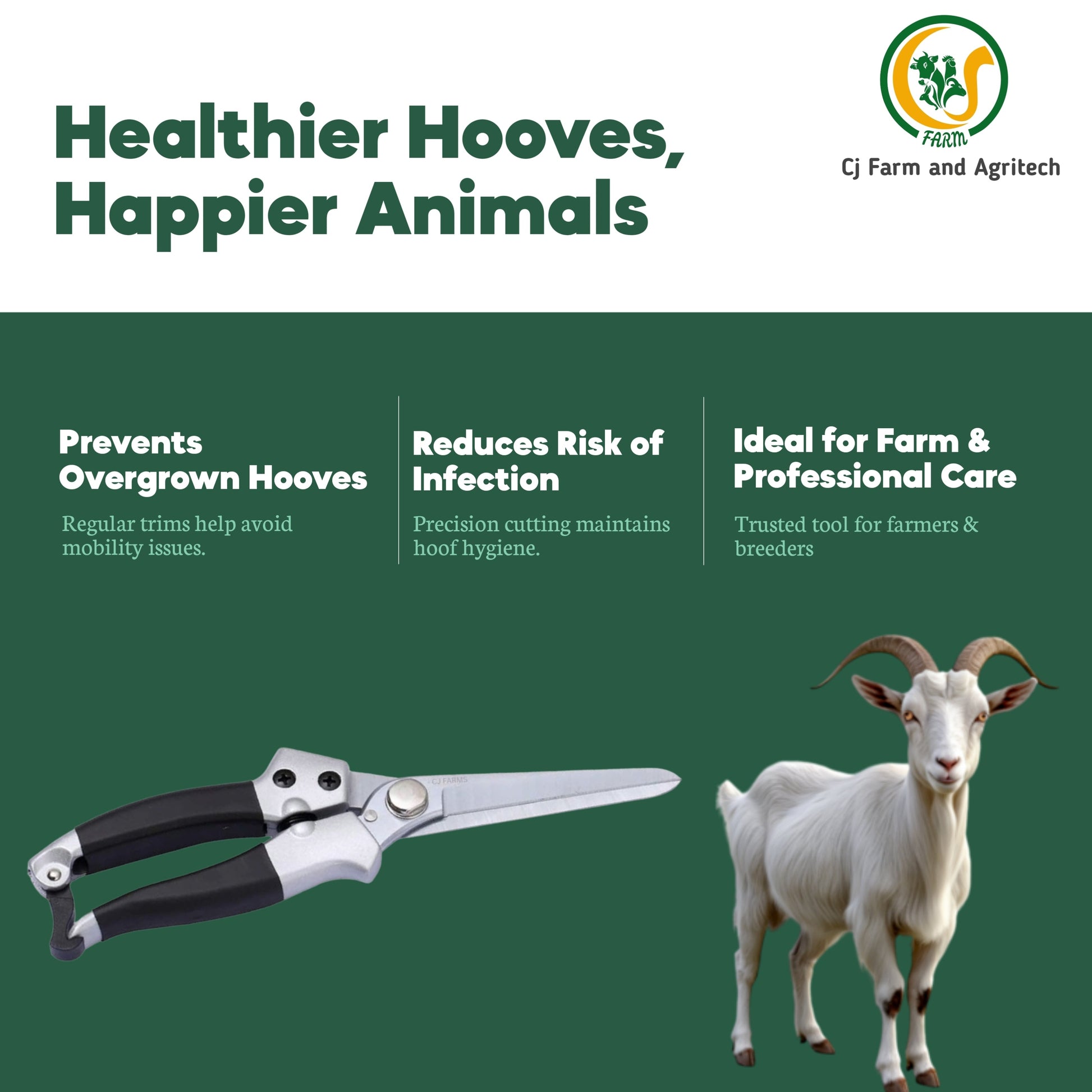 Premium Long Blade Hoof Cutter for Goats & Sheep | Heavy-Duty Stainless Steel Hoof Trimmer | 22cm Tool with 8cm Sharp Blade for Safe Livestock Hoof Care cjfarms.in