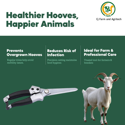 Premium Long Blade Hoof Cutter for Goats & Sheep | Heavy-Duty Stainless Steel Hoof Trimmer | 22cm Tool with 8cm Sharp Blade for Safe Livestock Hoof Care cjfarms.in