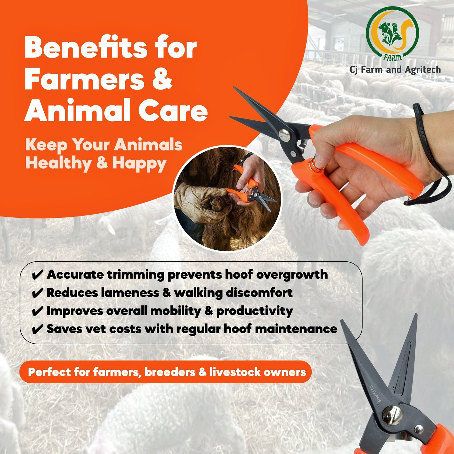 Professional Hoof Cutter for Goats & Sheep – 8 Inch Hoof Trimmer with 3 Inch Sharp Blade & Wrist Strap | Easy-Grip Goat Nail Cutter & Hoof Scissors for Safe, Smooth Trimming cjfarms.in