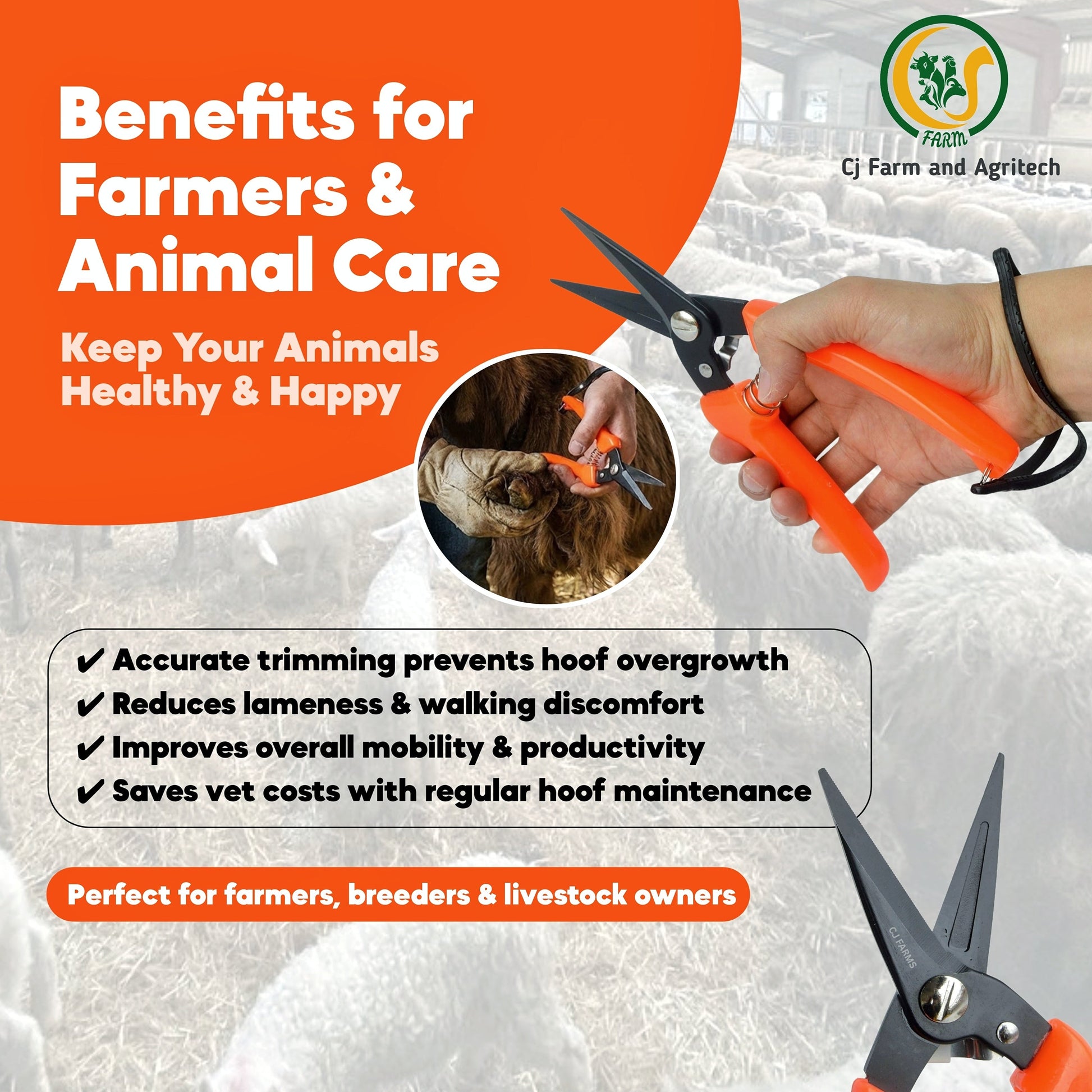 Professional Hoof Cutter for Goats & Sheep – 8 Inch Hoof Trimmer with 3 Inch Sharp Blade & Wrist Strap | Easy-Grip Goat Nail Cutter & Hoof Scissors for Safe, Smooth Trimming cjfarms.in