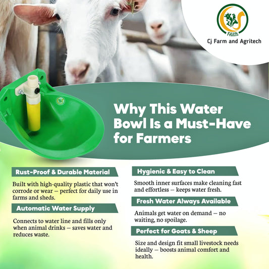 Automatic Water Bowl for Goats & Sheep | Heavy-Duty Livestock Drinker | Durable Farm Watering System My Store