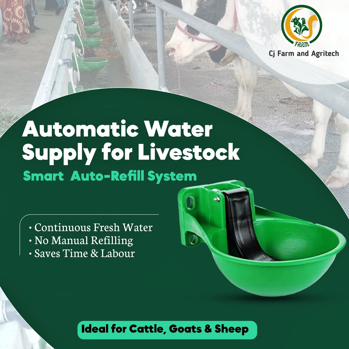 3L Green Unbreakable Plastic Automatic Cow Water Bowl Dispenser | Durable Livestock Drinking Waterer for Cattle, Goats & Sheep cjfarms.in