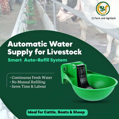3L Green Unbreakable Plastic Automatic Cow Water Bowl Dispenser | Durable Livestock Drinking Waterer for Cattle, Goats & Sheep cjfarms.in