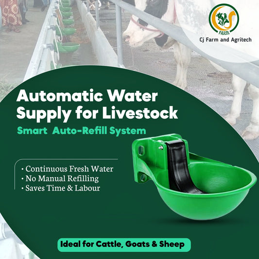 3L Green Unbreakable Plastic Automatic Cow Water Bowl Dispenser | Durable Livestock Drinking Waterer for Cattle, Goats & Sheep cjfarms.in