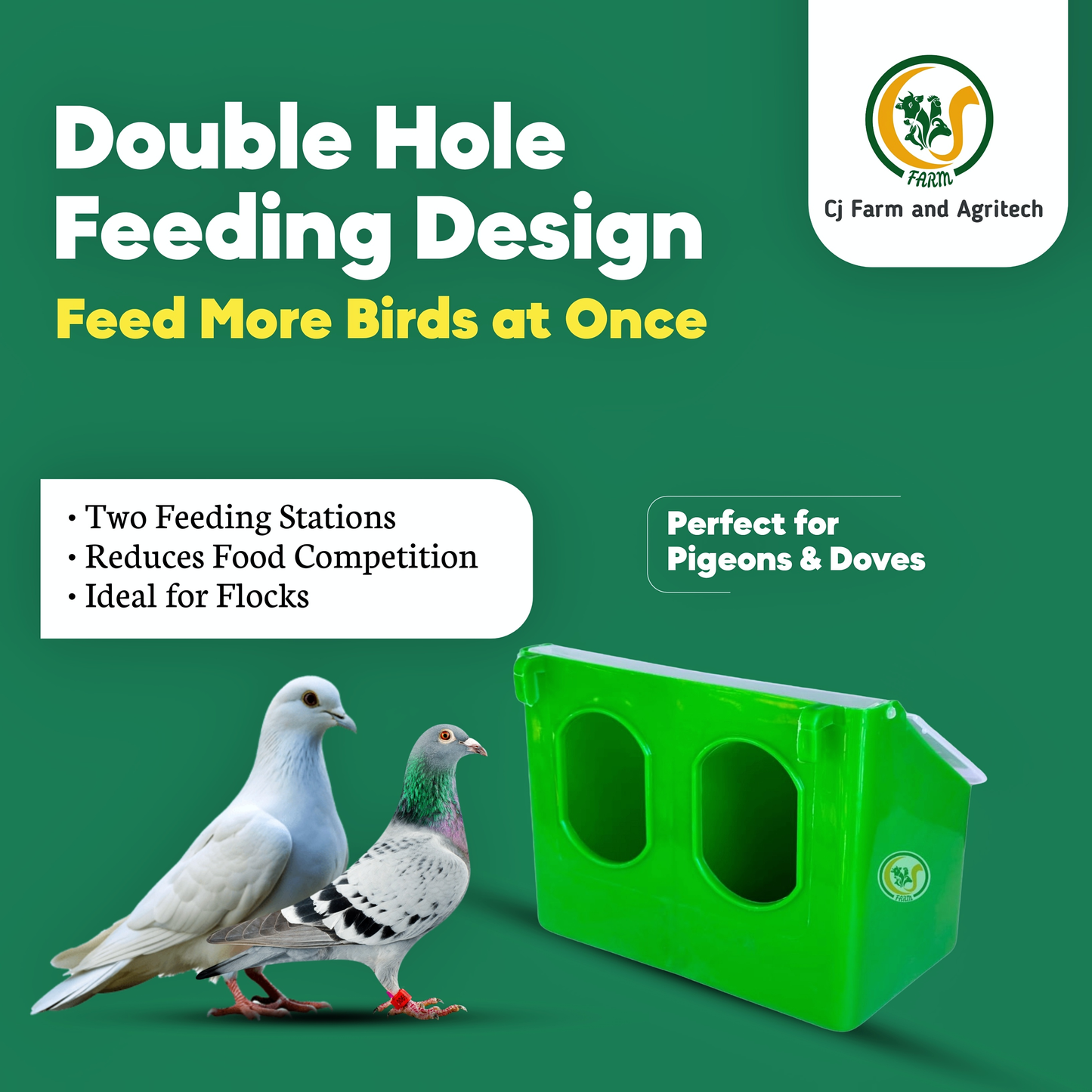 Double Hole Pigeon Feeder – Hanging Type (Pack of 2) | Durable Outdoor Feeder for Pigeons, Doves & Small Birds cjfarms.in