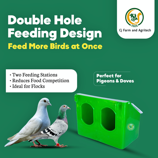 Double Hole Pigeon Feeder – Hanging Type (Pack of 2) | Durable Outdoor Feeder for Pigeons, Doves & Small Birds cjfarms.in