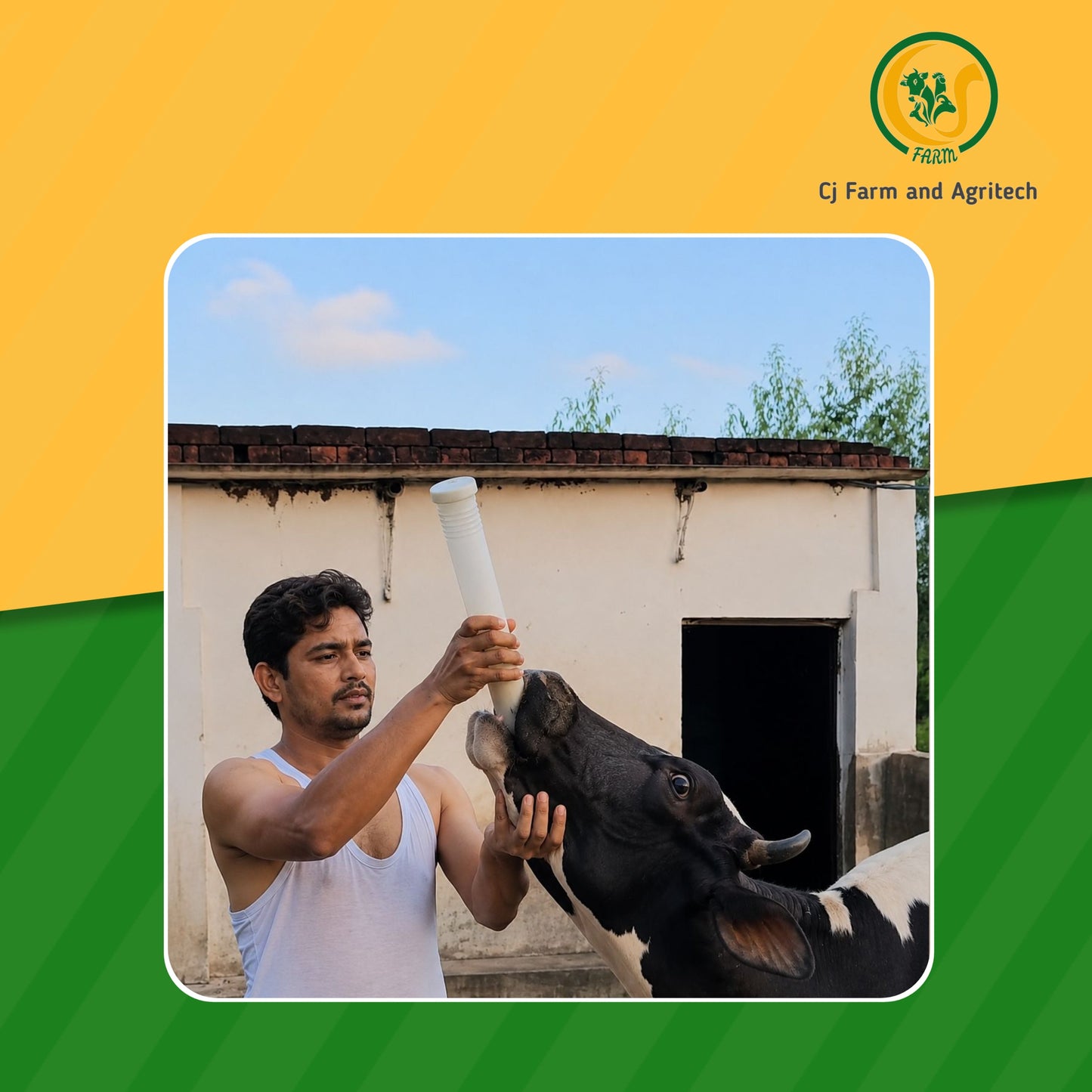 350ml Oral Drenching Pipe for Cows, Horses & Buffalo | Bovine Liquid Drencher Tube | Durable Veterinary Oral Feeder cjfarms.in