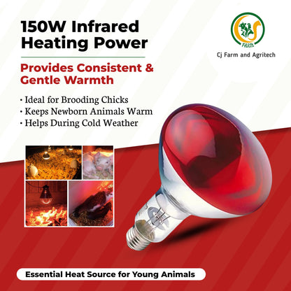 150W Infrared Heat Lamp for Chicks, Puppies, Piglets & Birds | Safe Brooding & Warming Lamp for Livestock and Pets cjfarms.in