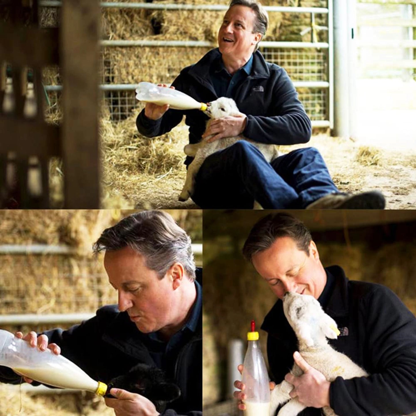 Bottle Topper Nipple for Goats, Puppies & Kittens | Soft Feeding Teat for Newborn Animals | Easy Bottle Attachment