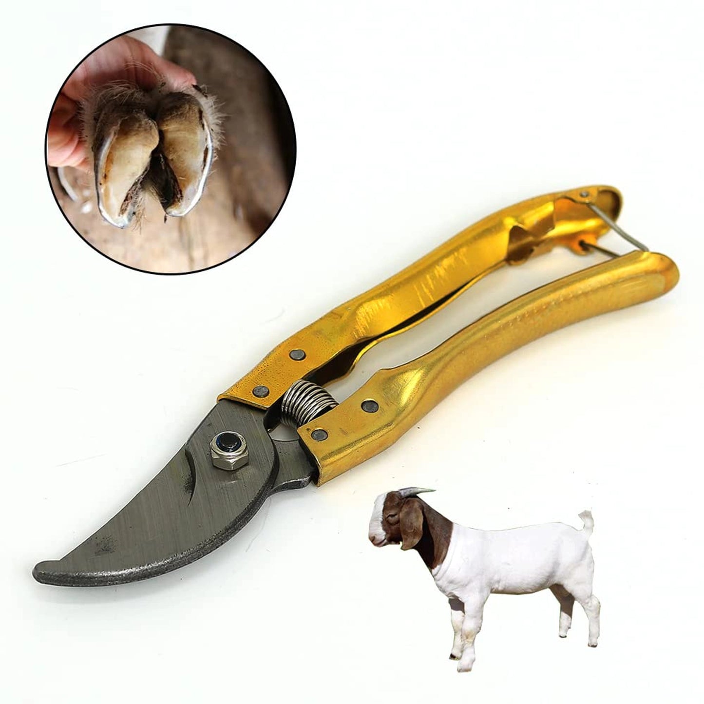 Heavy-Duty Hoof Cutting Tool for Goats & Sheep | Stainless Steel Trimming Shears with Ergonomic Handle | Livestock Hoof Trimmer