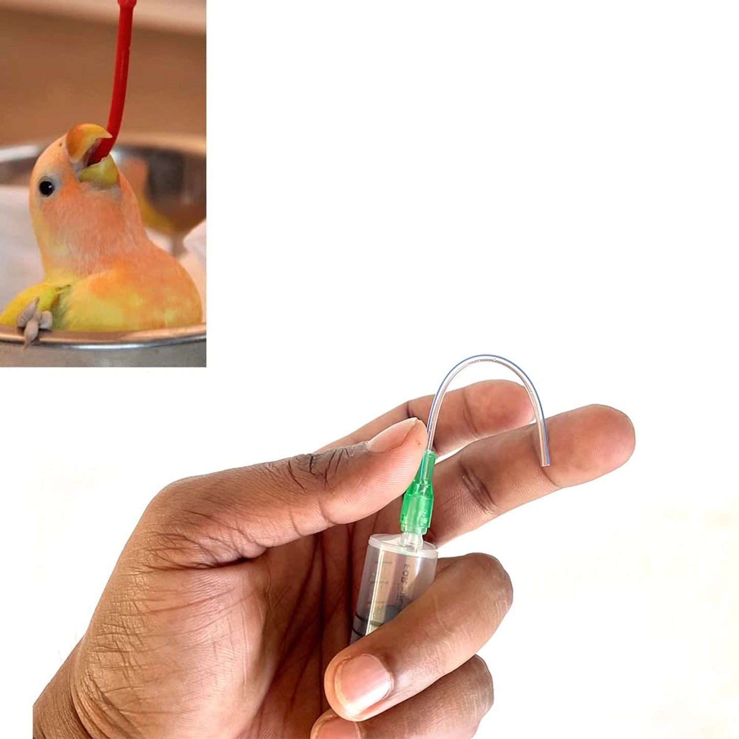 12ml Bird Hand Feeding Syringe with Soft & Flexible Needle | Safe Feeder for Baby Birds, Parrots, Pigeons & Small Pets