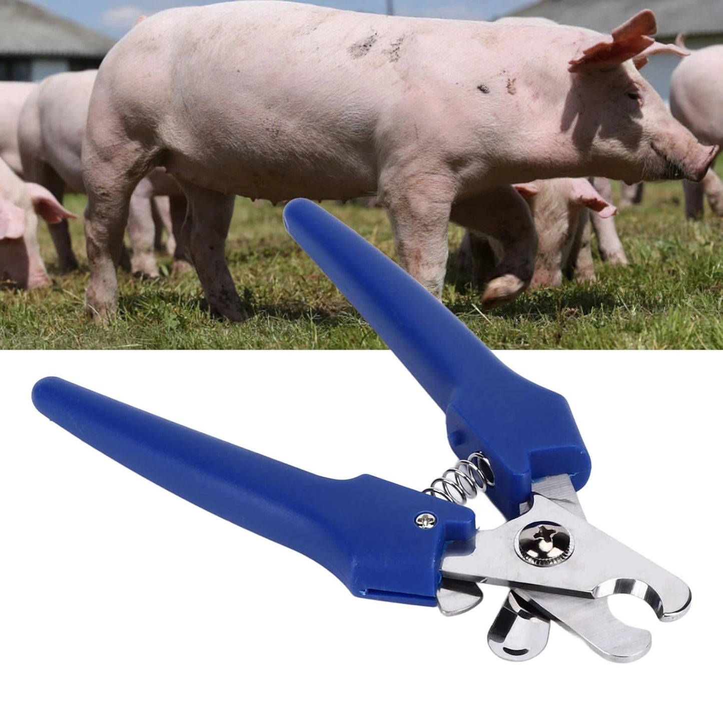 Tail Clipper for Pigs | Heavy-Duty Pig Tail Docking Tool for Safe & Quick Livestock Tail Cutting