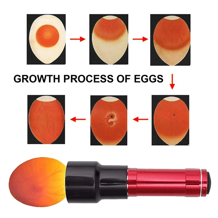 Light Egg Candler Tester | Bright Cool LED Candling Lamp | Egg Torch & Egg Tester for Poultry Hatching