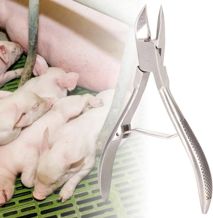 Stainless Steel Piglet Teeth Cutter | Durable Piglet Teeth Clipping Tool for Safe & Hygienic Livestock Care