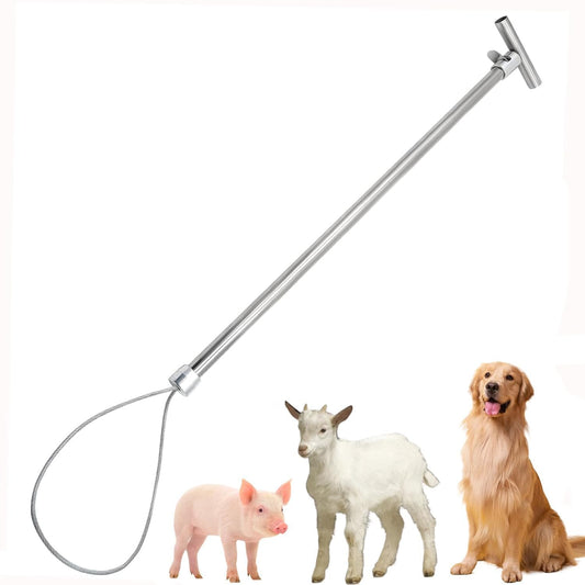 Stainless Steel Animal Control Pole | Dog Catcher Pole, Pig Holder & Livestock Catcher | Safe & Humane Animal Handling Tool