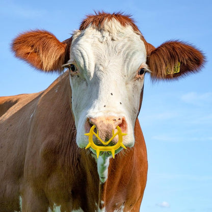 Cattle Weaning Nose Ring for Calves (Pack of 2) – PVC Anti-Suck Spiky Calf Weaner, Adjustable Livestock Nose Ring for Safe Weaning CJ farms and Agritech