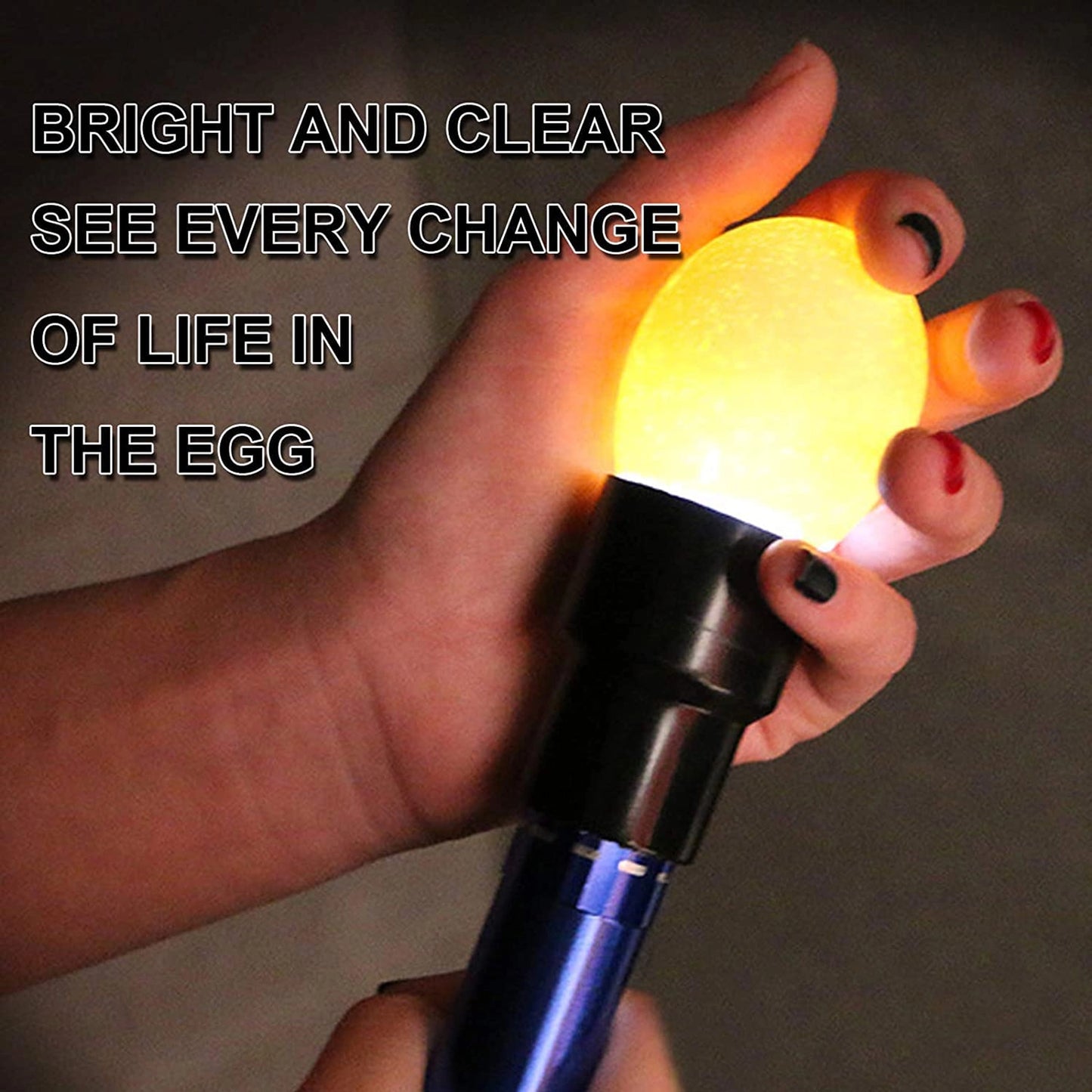 Light Egg Candler Tester | Bright Cool LED Candling Lamp | Egg Torch & Egg Tester for Poultry Hatching