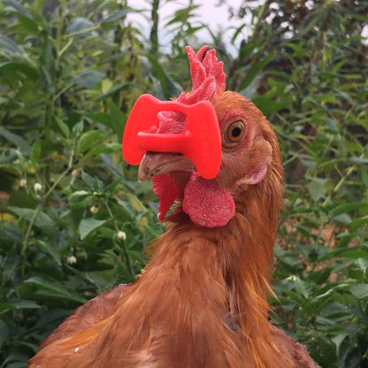 Chicken Glasses Pinless Peepers | Anti-Pecking & Anti-Fighting Poultry Eye Protectors | Reduce Aggression in Chickens & Birds