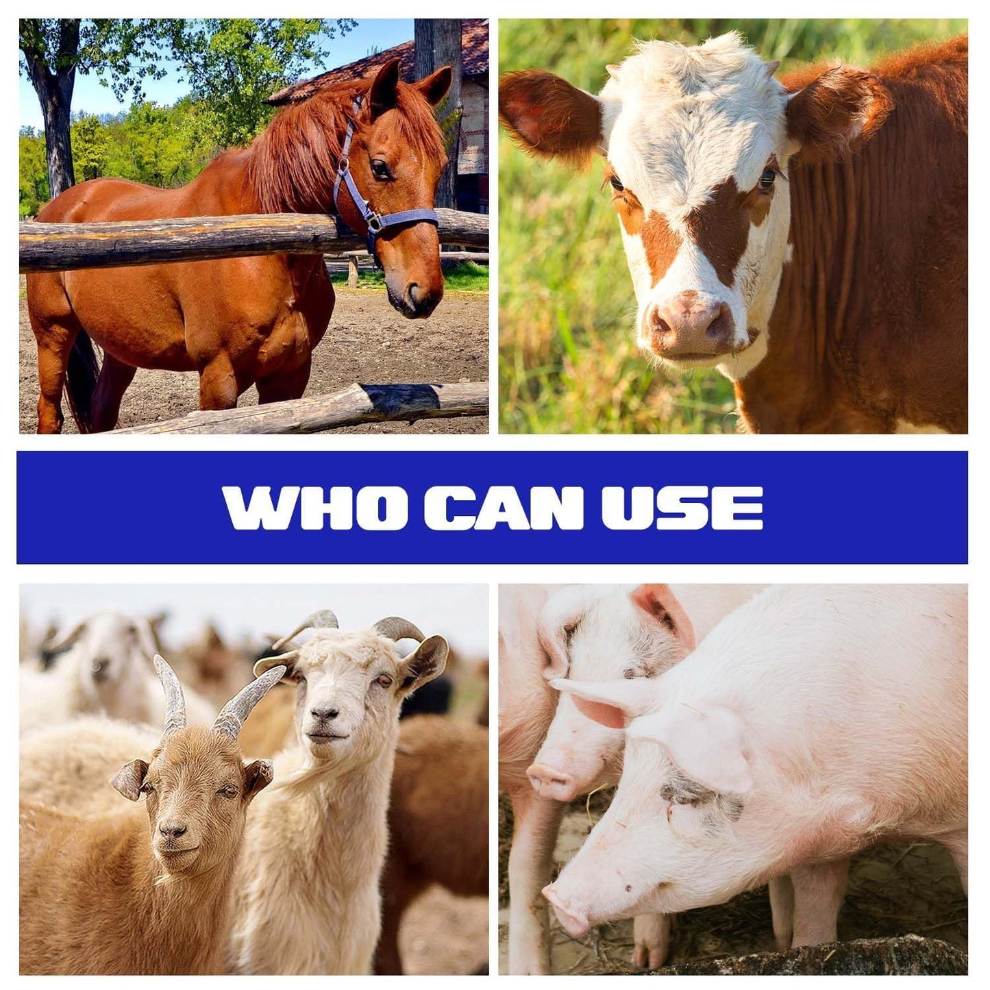 Livestock Scratching Brush for Cattle, Horses, Goats & Sheep | Heavy-Duty 60cm Full-Round Self-Grooming & Massage Brush | Easy-Mount Farm & Dairy Animal Grooming Tool