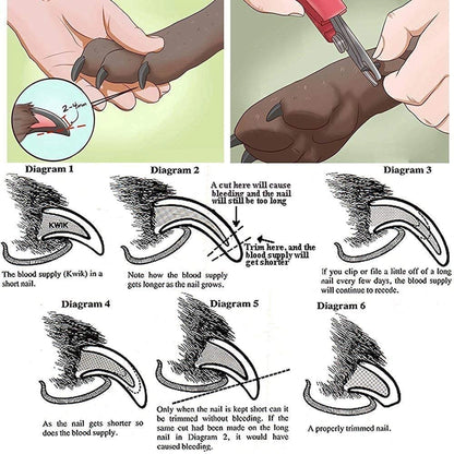 Dog & Cat Nail Clippers | Sharp Stainless Steel Pet Nail Trimmer with Safety Guard | Painless, Easy-to-Use Grooming Tool