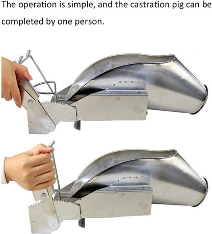 Pig Castration Fixation Bracket | Heavy-Duty Piglet Restraint Frame for Safe & Easy Castration | Durable Livestock Holding Tool