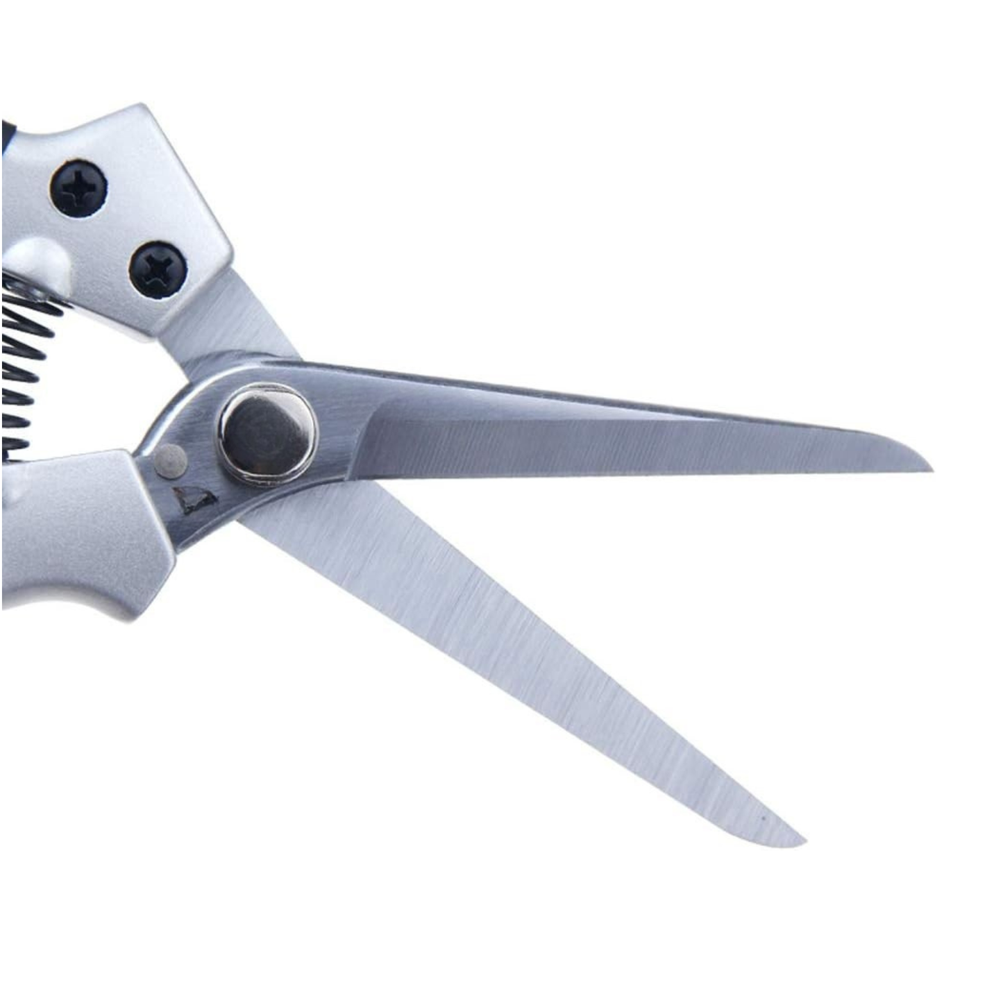 Premium Long Blade Hoof Cutter for Goats & Sheep | Heavy-Duty Stainless Steel Hoof Trimmer | 22cm Tool with 8cm Sharp Blade for Safe Livestock Hoof Care