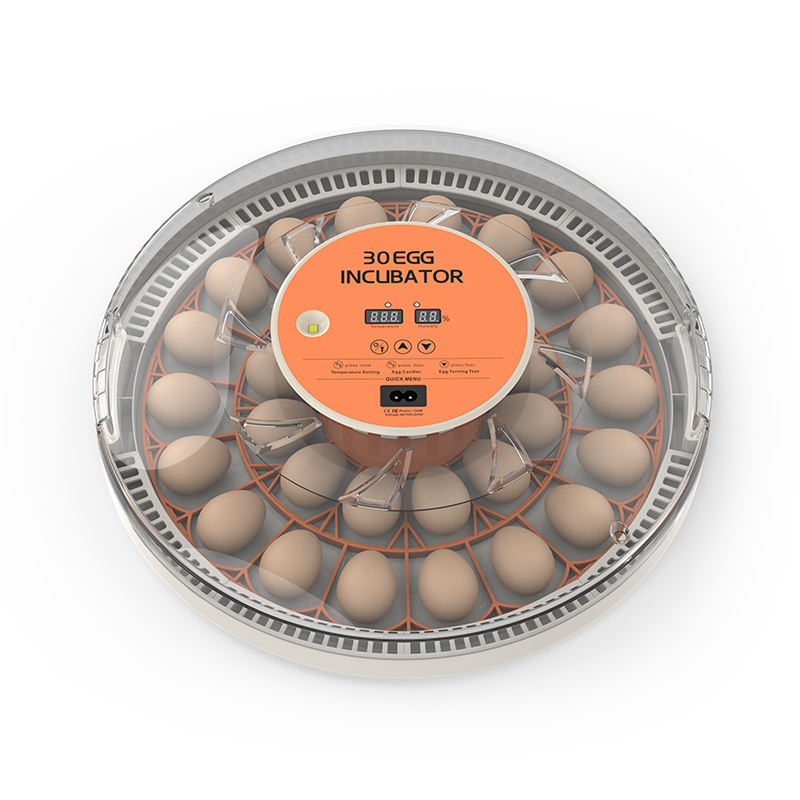 30 Egg Incubator Full Automatic | Digital Temperature & Humidity Display | Built-in Egg Candler | Easy to Clean Poultry Hatching Machine CJ farms and Agritech