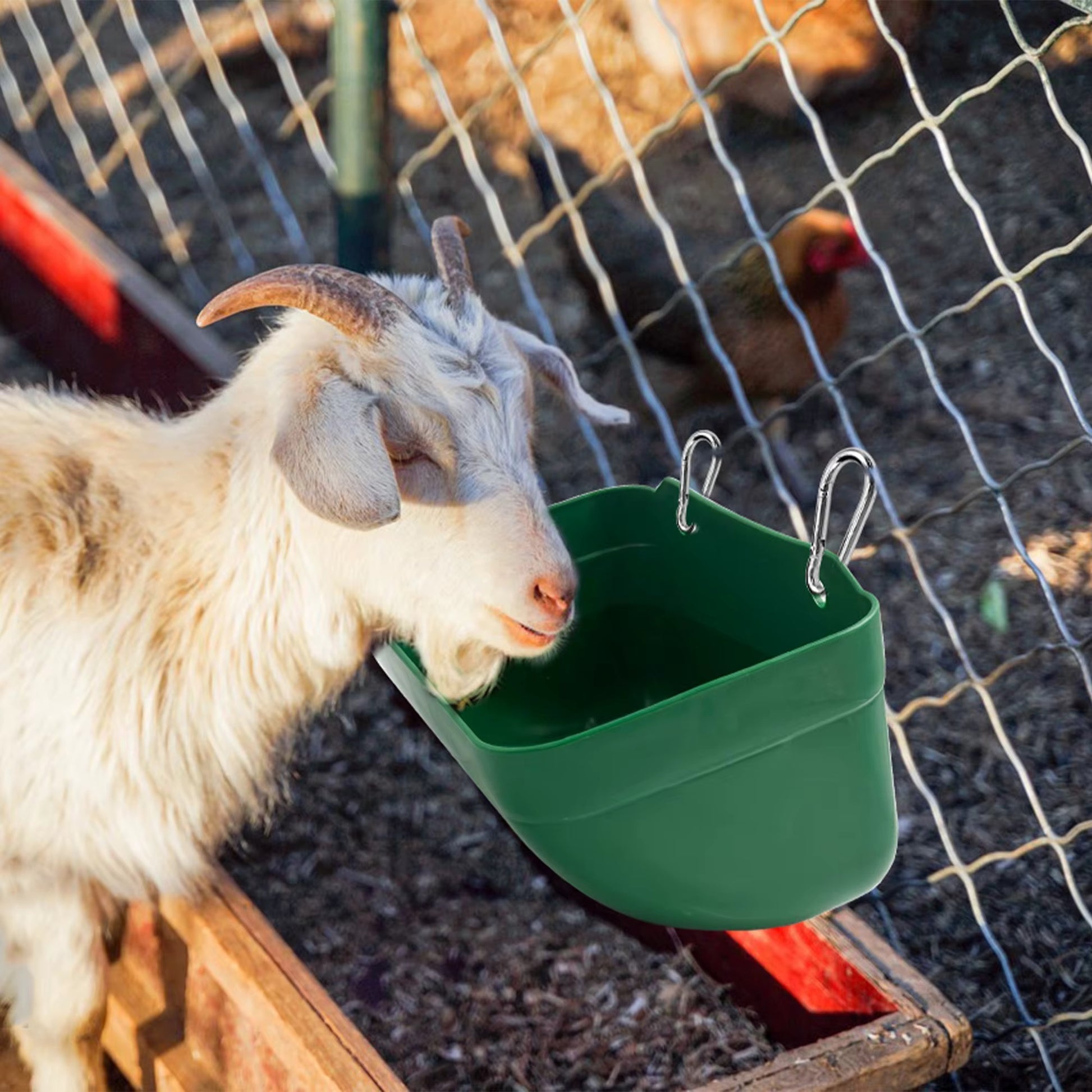 Hanging Feeding Trough for Goats, Chicken, Geese & Dogs | Durable BPA-Free Plastic Feeder | 36×16×9 cm | Pack of 2 CJ farms and Agritech