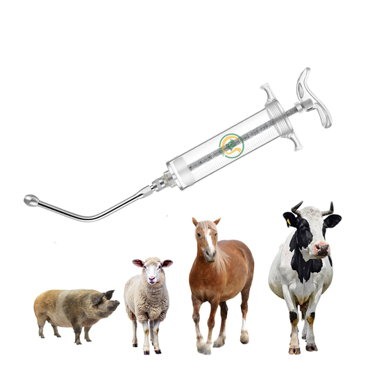 Oral Drencher for Goats & Sheep | Veterinary Medicine Feeder | Easy Liquid Feeding Tool for Livestock