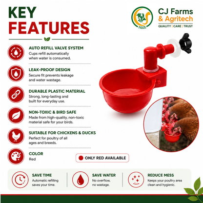 Automatic Chicken Feeder Cups | Auto-Refill Poultry Water Drinker | Automatic Water Bowl Cups for Chickens & Birds cjfarms.in