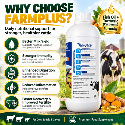 GENESISOMEGA Farmplus Cattle Feed Supplement 1L | Fish Oil & Turmeric Liquid Nutrition for Cow, Buffalo & Calves