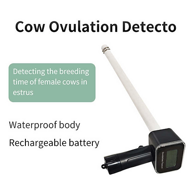 Handheld Estrus Detector for Cattle & Buffalo with 1 Year Warranty | Digital Ovulation Tester for Accurate Breeding Timing | Veterinary AI Tool CHIMERTECH