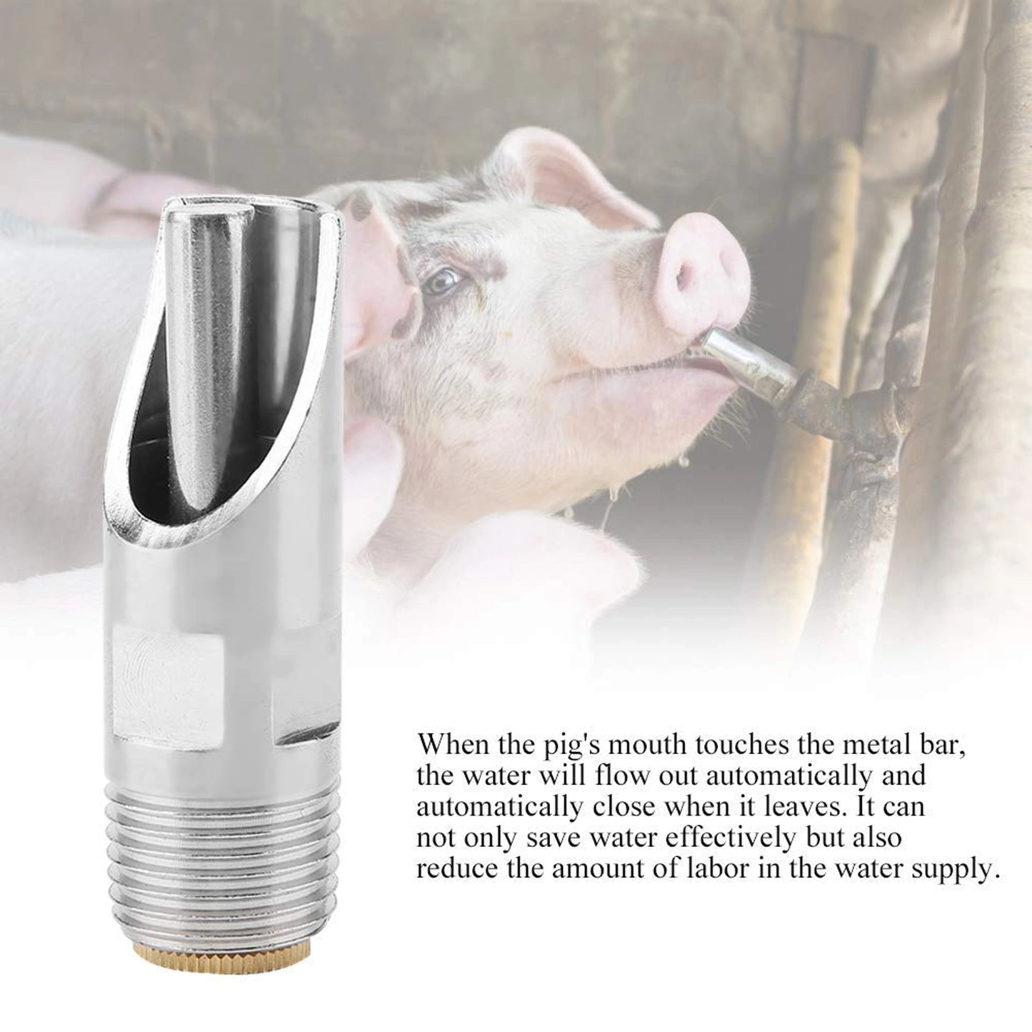 Stainless Steel 1/2 Inch Automatic Pig Nipple Drinker (Pack of 5) | SS 202 Grade Heavy-Duty Hog Water Nipple for Pigs & Piglets