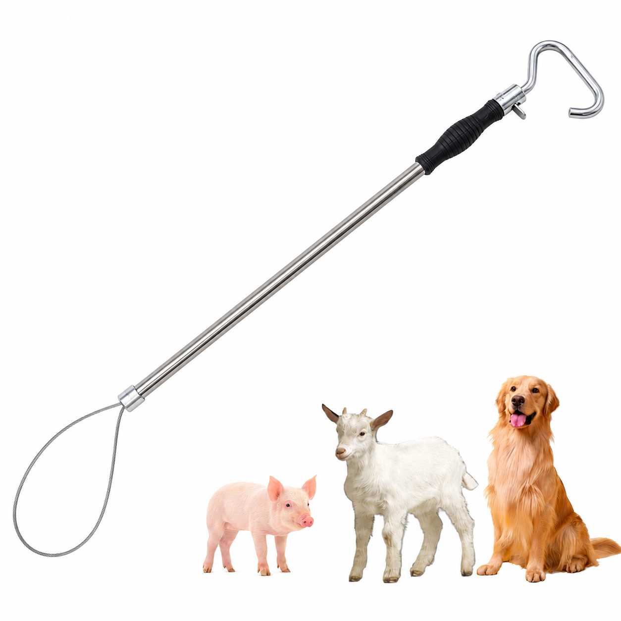 Stainless Steel Animal Control Pole | Dog Catcher Pole, Pig Holder & Livestock Catcher | Safe & Humane Animal Handling Tool cjfarms.in