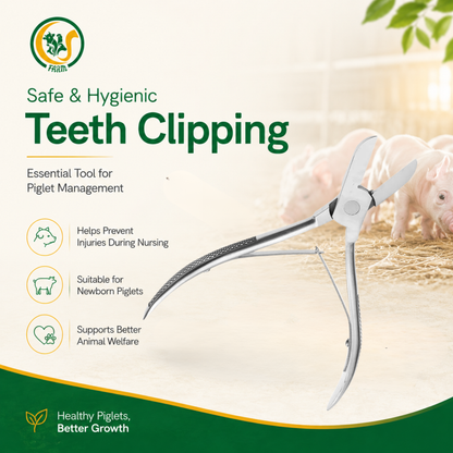 Stainless Steel Piglet Teeth Cutter | Durable Piglet Teeth Clipping Tool for Safe & Hygienic Livestock Care cjfarms.in